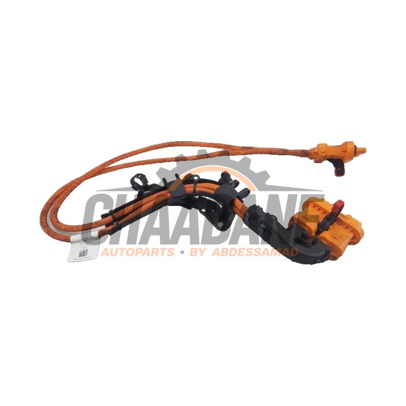 Cable haute tension 1EA971015T Cupra Born 58 2021