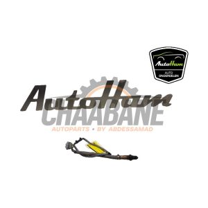 Sonde lambda 9A160619101 Porsche 911 (991) 3.8 24V Carrera 4S 2012 / 2020