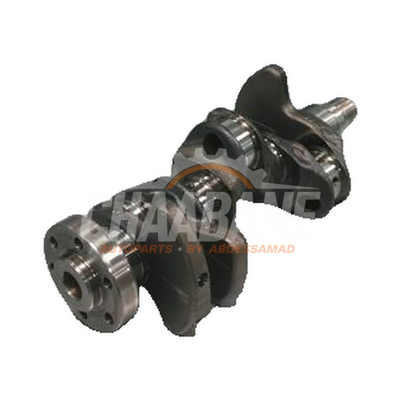 Vilebrequin 04CAP Seat Arona 2017