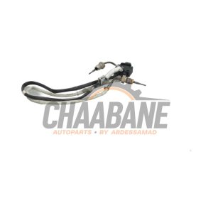 Capteur temperature dEchappement 8S0919519 Cupra Formentor 2.5 VZ5 16V 4Drive 2020