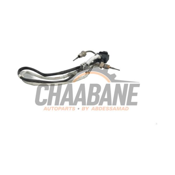 Sensor temperature d'echappement 8S0919519 Cupra Formentor 2.5 VZ5 16V 4Drive 2020