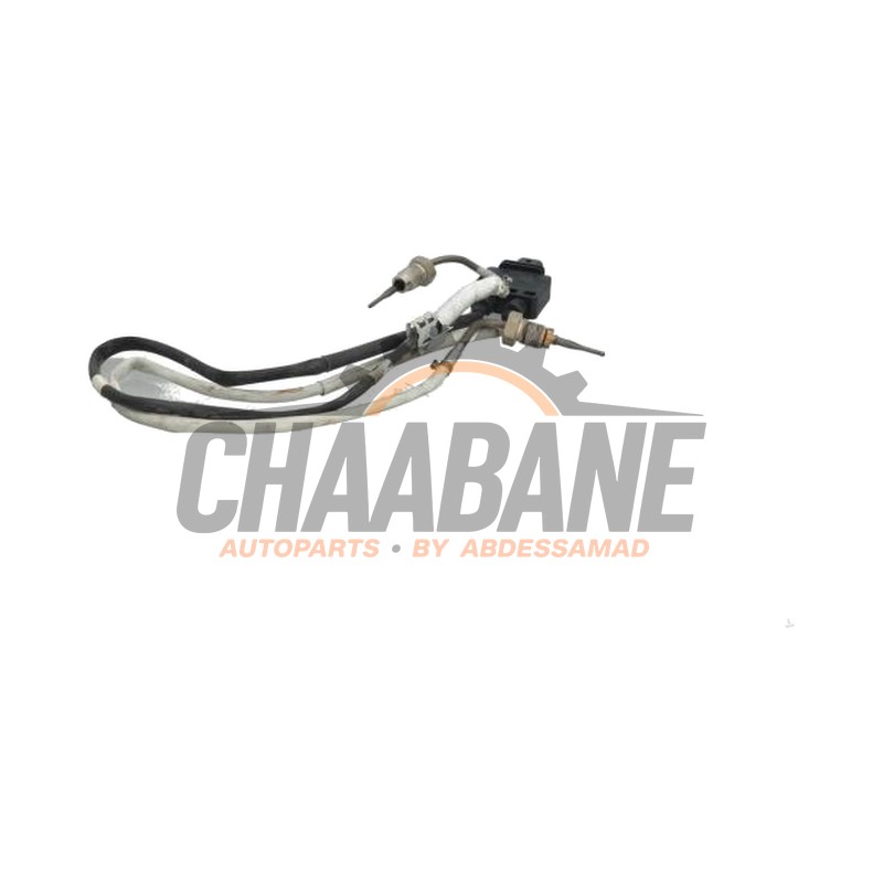 Capteur temperature dEchappement 8S0919519 Cupra Formentor 2.5 VZ5 16V 4Drive 2020