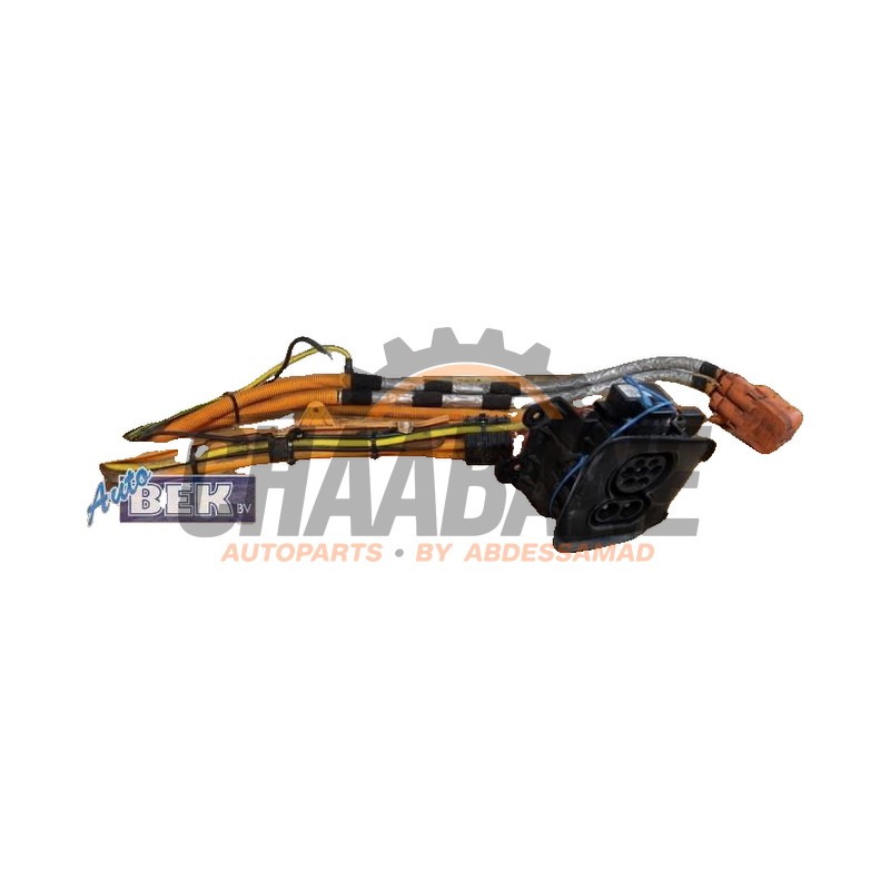 Port de chargement voiture electrique 611353781210 BMW i3 (I01) i3 2013 / 2022