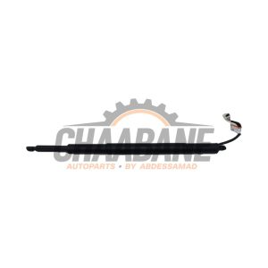 Amortisseur a gaz arriere gauche 51247453413 BMW 3 serie Touring (G21) 320e xDrive 2.0 TwinPower Turbo 16V 2019