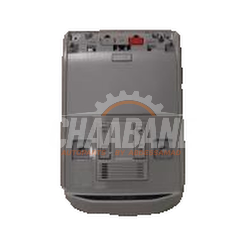 Eclairage de plafonnier 2GA947105TEKW Skoda Kamiq 1.0 TSI 12V 2019