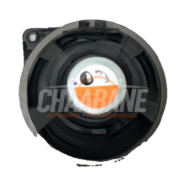 Haut-parleur 65135A0F466 BMW i7 (G70) eDrive50 106 kWh 2022
