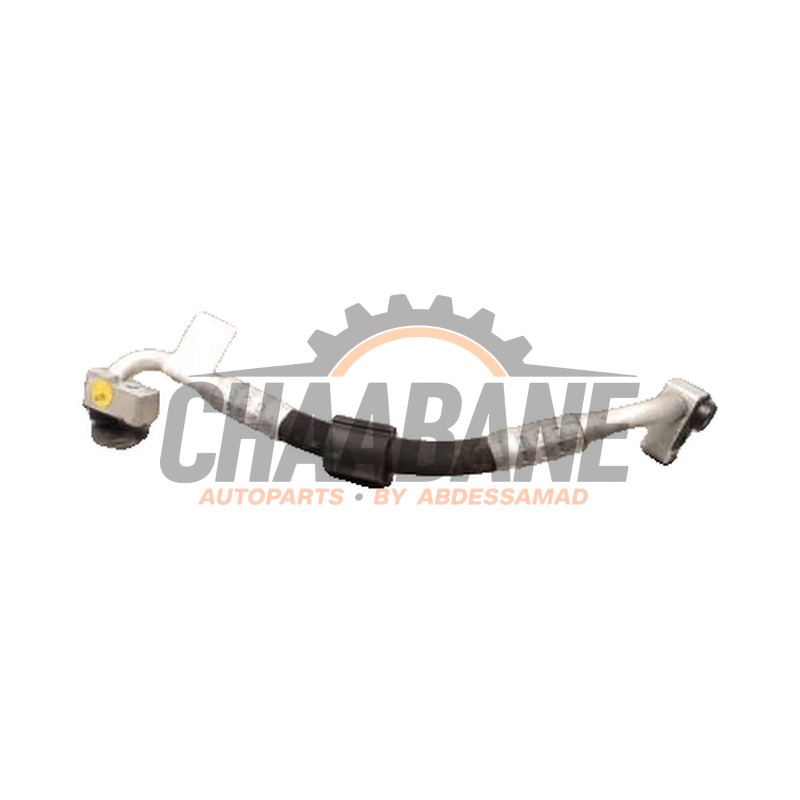 Tuyau clim 1EA816541C Skoda Enyaq iV 80 2021
