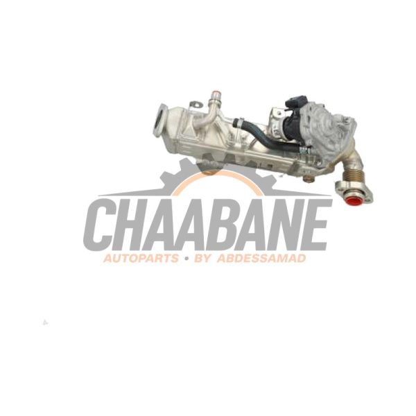 Refroidisseur RGE 11718580452 BMW 4 serie Gran Coupe (G26) 420d Mild Hybrid xDrive 2.0 16V 2021