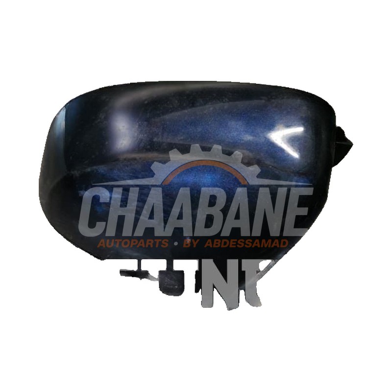 Coque retroviseur gauche 697169AA BMW iX3 80 kWh 2020