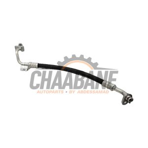 Tuyau clim 1EA816721A Audi Q4 (F4B) 40 e-tron 2021