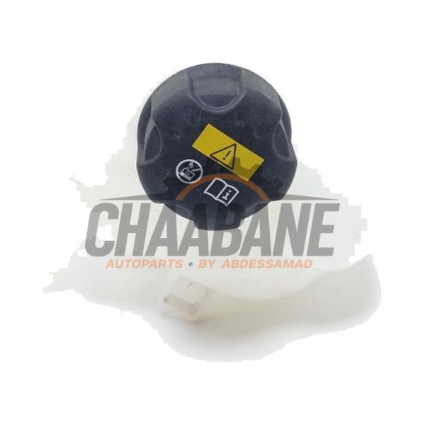 Vase dexpansion 7823626 BMW i3 (I01) i3 120Ah 2013 / 2022