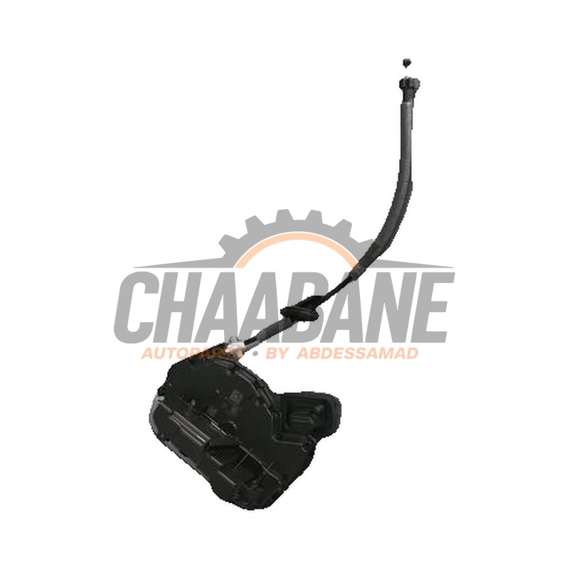 Serrure arriere gauche Cupra Born 2021 5TA839015P