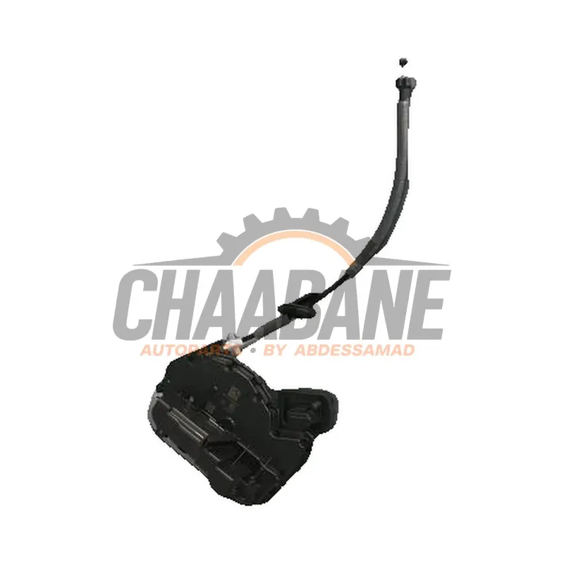 Serrure portiere mecanique 4portes arriere gauche Cupra Born 2021 5TA839015P