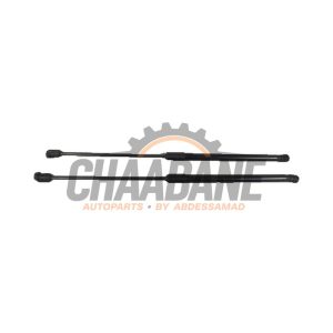 Verin de coffre 8V4827552 Audi RS3 2015 / 2020