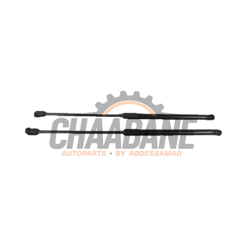 Kit amortisseur gaz hayon 8V4827552 Audi RS3 2015 / 2020