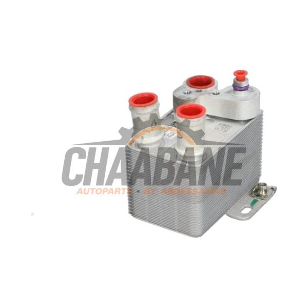 Refroidisseur clim Cupra Born 58 2021 1EA816111B