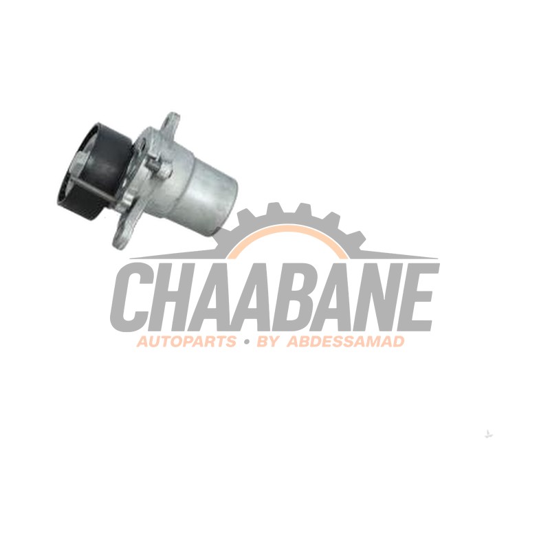 Rouleau tendeur courriere de multi 06K903133P Volkswagen Tiguan Allspace (BW2) 2016