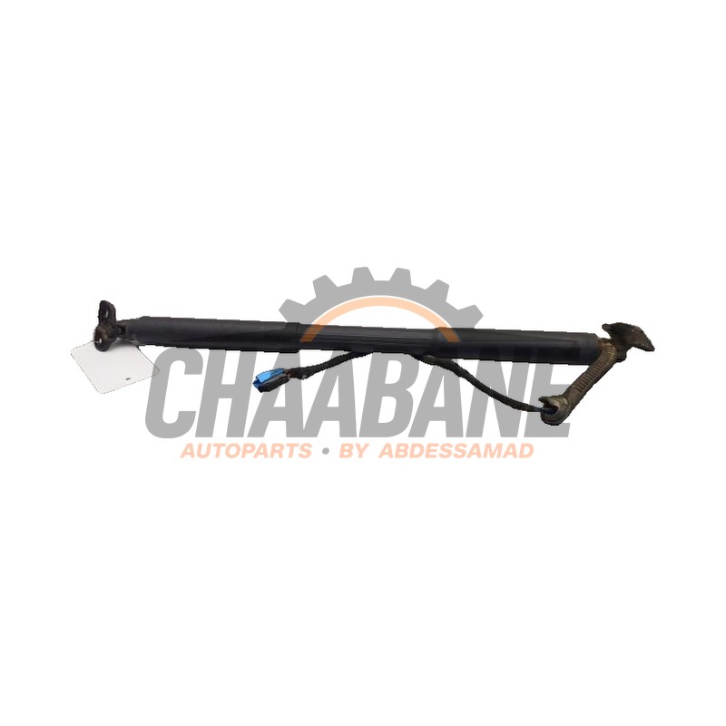 Amortisseur a gaz arriere gauche 743237301 BMW 3 serie Touring (F31) 318i 1.5 TwinPower Turbo 12V 2012 / 2019