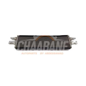 Intercooler 17219494828 BMW 3 serie Touring (G21) 330e xDrive 2.0 TwinPower Turbo 16V 2019