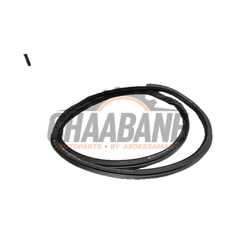 Joint caoutchouc portiere 4portes arriere droite 575867368Q Skoda Karoq 2017