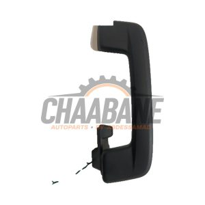 Poignee 5H0857643B Audi Q4 (F4B) 35 e-tron 2021