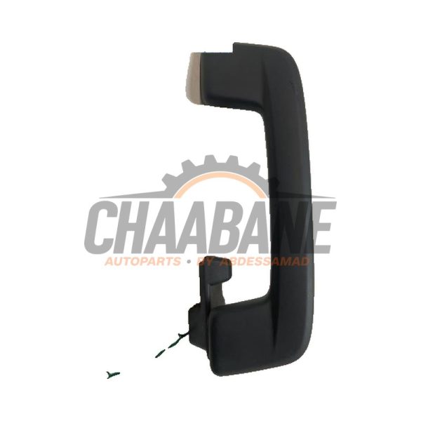 Poignee 5H0857643B Audi Q4 (F4B) 35 e-tron 2021