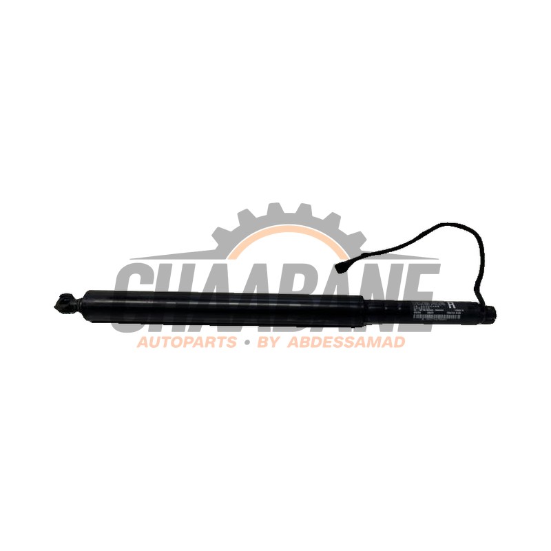 Hayon moteur 7954154 BMW iX (I20) xDrive40 77 kWh 2021