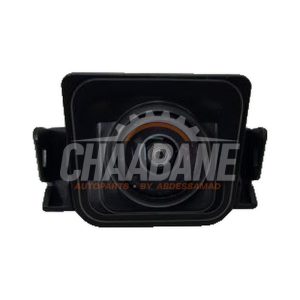 Camera de recul A0009005243 Mercedes V (447.8)