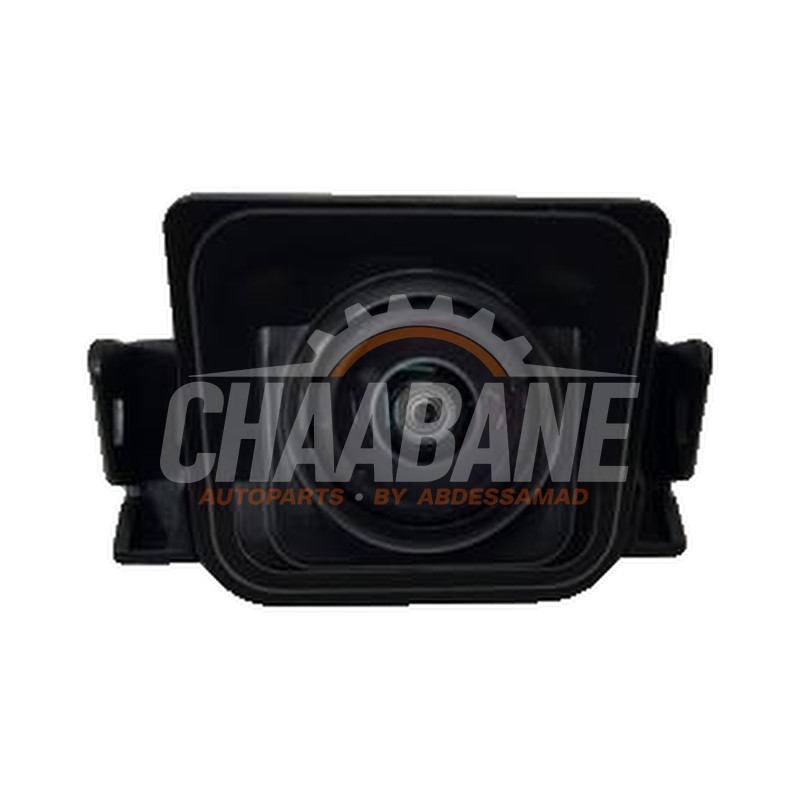 Camera de recul A0009005243 Mercedes V (447.8)