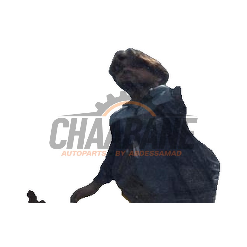 Toit panoramique 54108038192 BMW M5 Touring (G91) M550d xDrive 24V 2024