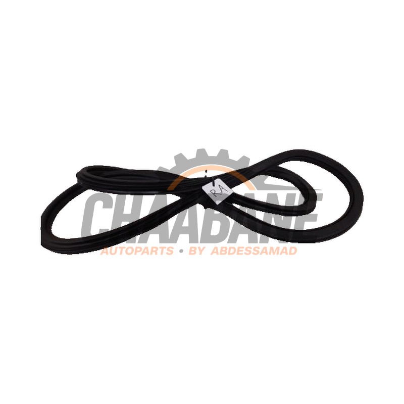 Joint caoutchouc portiere 4portes arriere droite 5FE867367 Seat Leon 2020