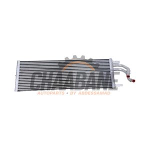 Radiateur dhuile 22828110 BMW 5 serie (G60) 530e 2.0 TwinPower Turbo 16V 2023