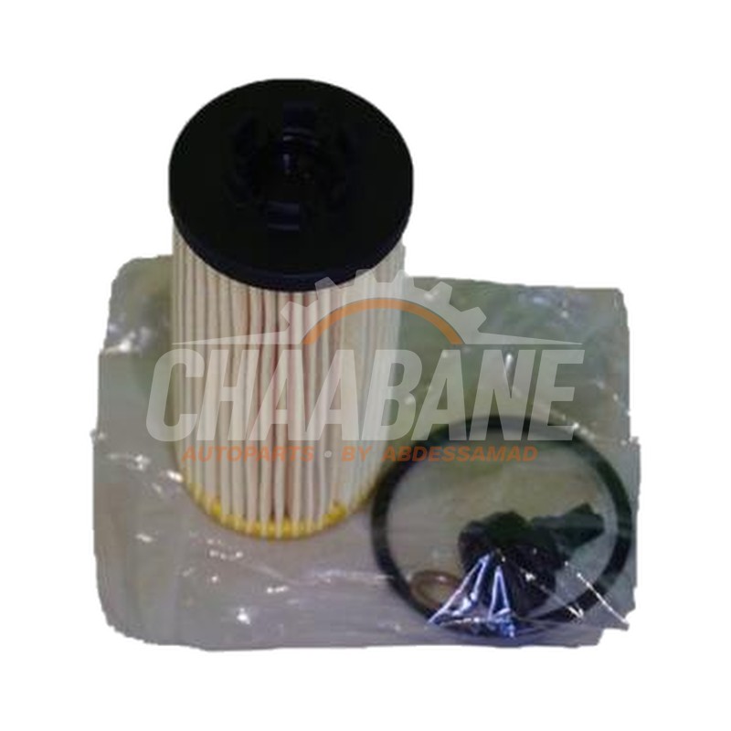 Filtre huile 11428593186 BMW X1 (F48) 2014 / 2022