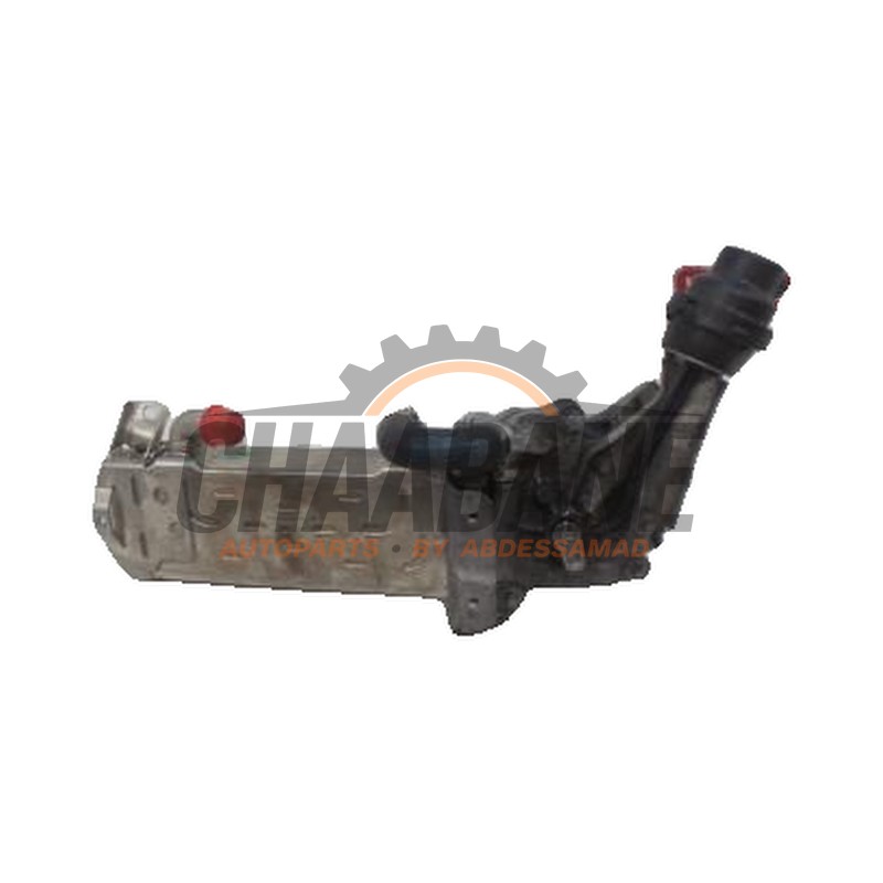 Refroidisseur RGE A6511400275 Mercedes C-Klasse