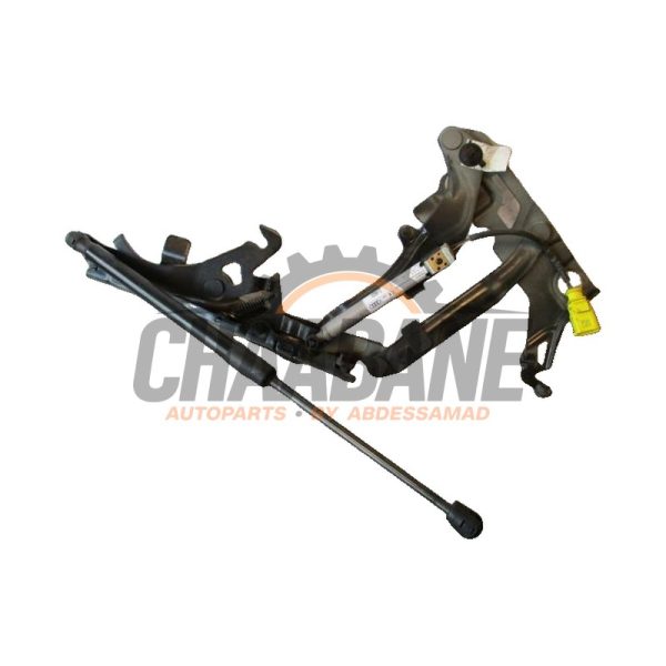 Systeme popup capot 80A823823 Audi Q5 (FYB/FYG) 2.0 TFSI 16V Quattro 2016