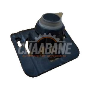 Capteur PDC A0009053307 Mercedes AMG GT 4-door coupe (X290) 4.0 63 S V8 Turbo 4-Matic+