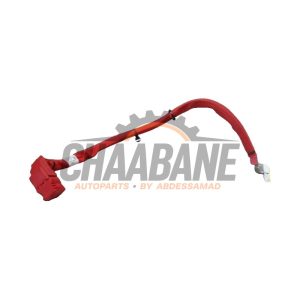 Borne de batterie 61126839821 BMW X3 (G01) 2017