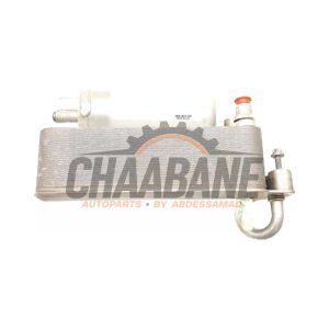 Condenseur de climatisation 64509367096 BMW X4 (G02) xDrive 20i 2.0 TwinPower 16V Mild Hybrid 2018