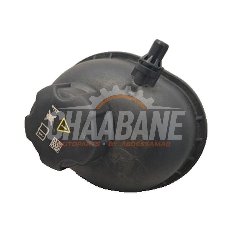 Vase dexpansion 17138610661 BMW X4 (G02) M40i 3.0 TwinPower Turbo 24V Mild Hybrid 2018