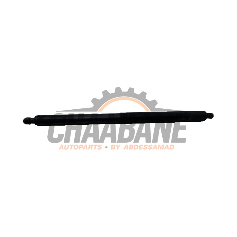 Amortisseur a gaz arriere gauche 51247481805 BMW X1 (F48) sDrive 20i 2.0 16V Twin Power Turbo 2014 / 2022