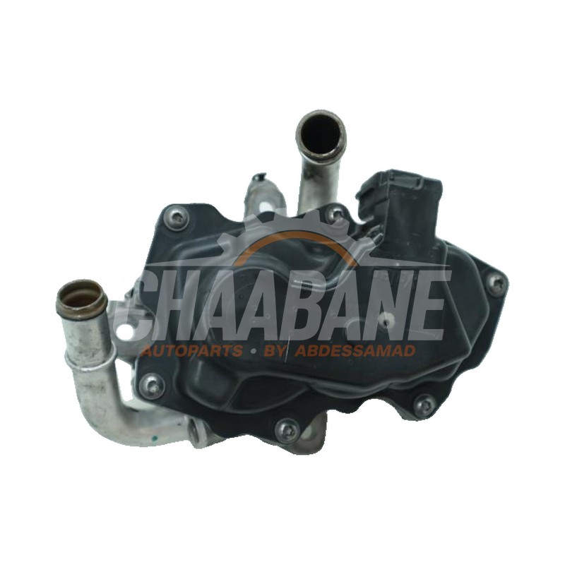Valve RGE 04L131501S Seat Leon (5FB) 2.0 TDI Ecomotive 16V 2012 / 2020