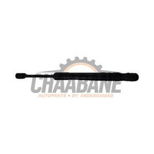 Amortisseur kit capot moteur BMW X4 2014 / 2018