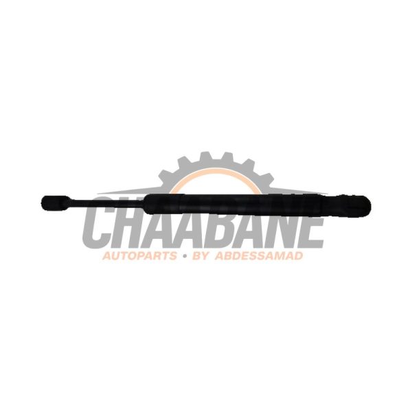 Amortisseur kit capot moteur BMW X4 2014 / 2018
