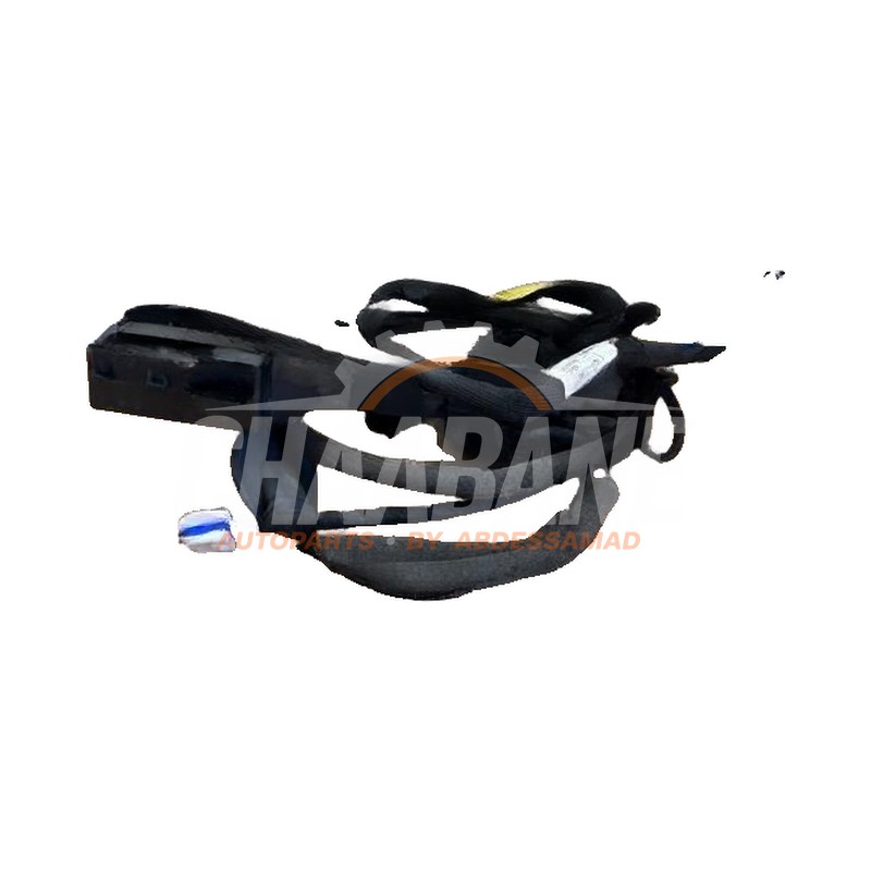 Serrure portiere mecanique 4portes arriere gauche A4207301000 Mercedes T (420.8) 1.5 T160 d