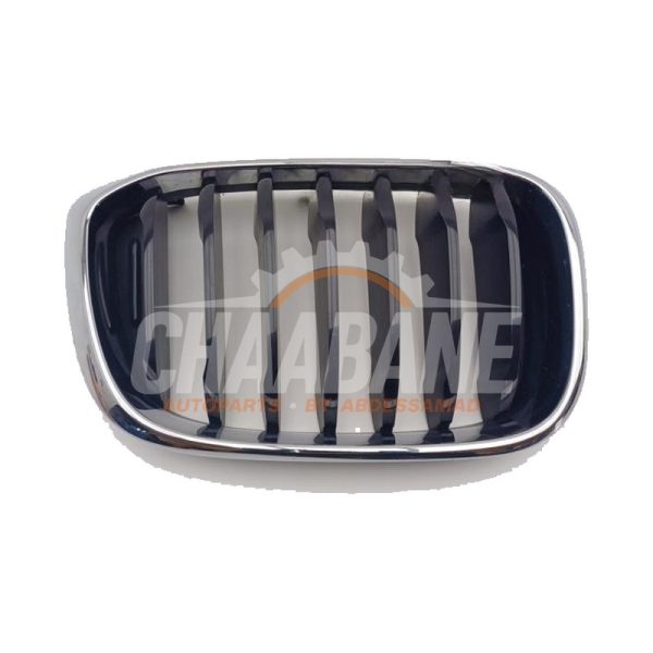 Calandre 51137440854 BMW X3 (G45) 20d xDrive 2.0 TwinPower 16V Mild Hybrid 2024
