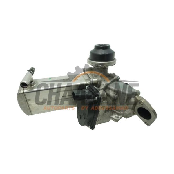 Valve RGE DDV00 Audi A7 Sportback (4KA) 3.0 V6 24V 45 TDI Mild Hybrid Quattro 2017
