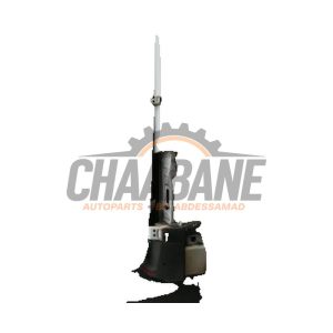 Portiere arriere camionnette A9107408000 Mercedes Sprinter