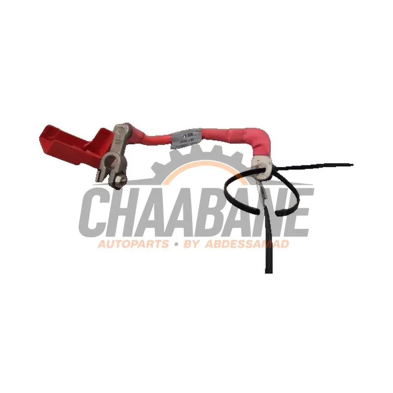 Borne de batterie EX5314300PA Jaguar F-type 3.0 S V6 24V