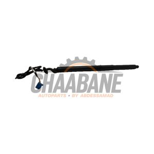 Moteur fermeture auxiliaire hayon A2478905600 Mercedes B (W247) 2.0 B-200d