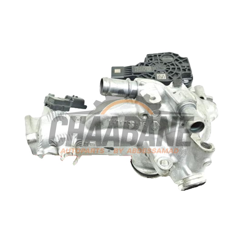 Valve RGE HMLGT9584R Mercedes Citan (420.6) 1.5 108 CDI